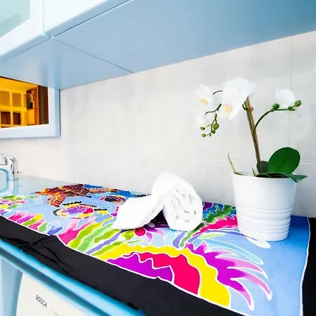 Innpisarentals 2- Books & Tower Pisa